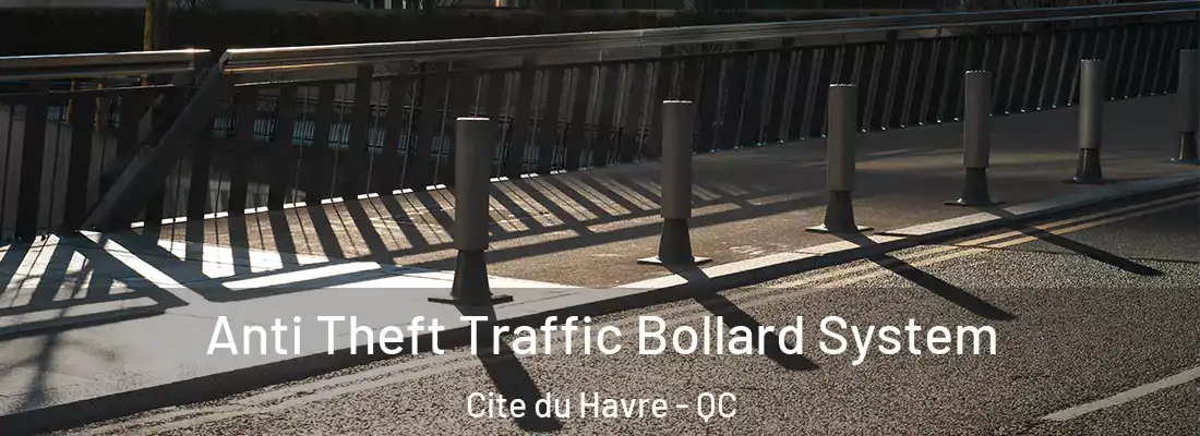  Anti Theft Traffic Bollard System Cite du Havre - QC