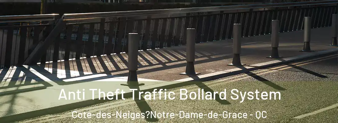  Anti Theft Traffic Bollard System Cote-des-Neiges?Notre-Dame-de-Grace - QC