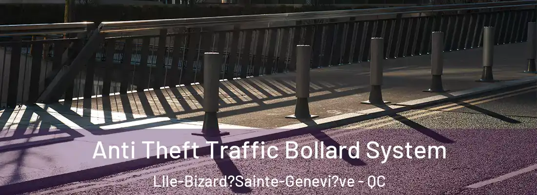  Anti Theft Traffic Bollard System LIle-Bizard?Sainte-Genevi?ve - QC