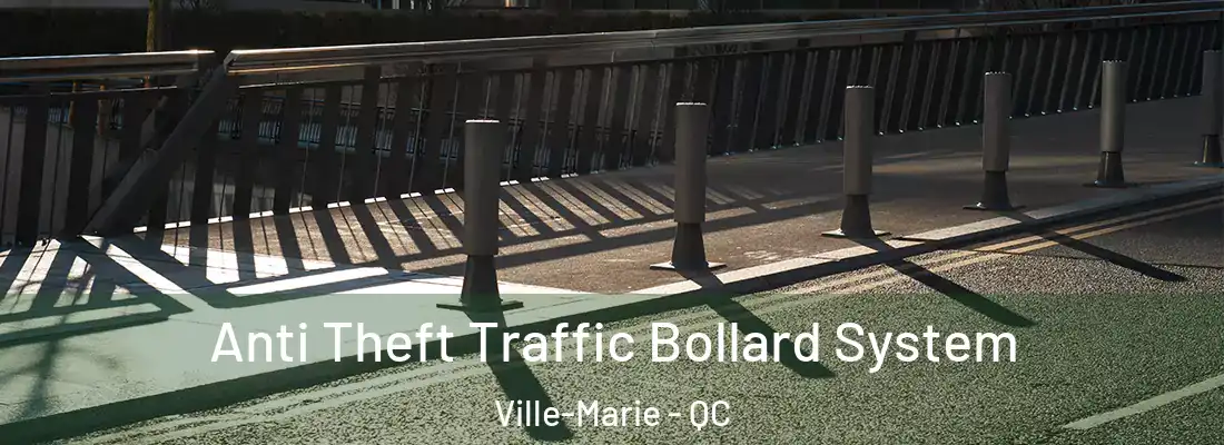  Anti Theft Traffic Bollard System Ville-Marie - QC