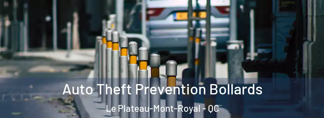  Auto Theft Prevention Bollards Le Plateau-Mont-Royal - QC