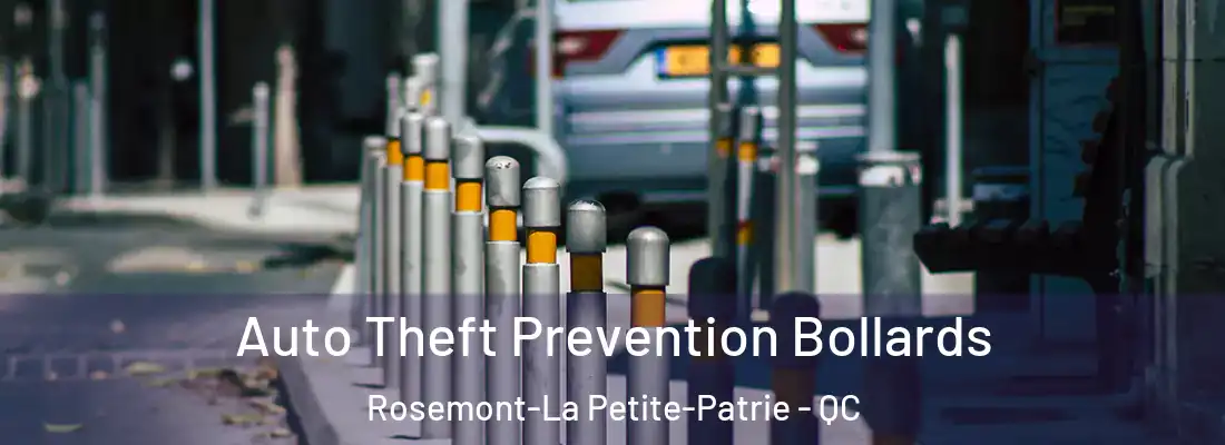  Auto Theft Prevention Bollards Rosemont-La Petite-Patrie - QC