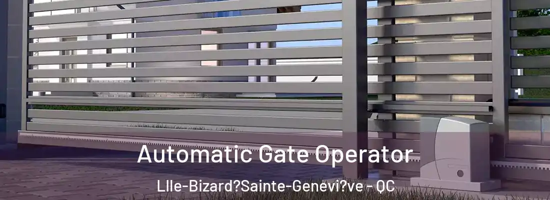 Automatic Gate Operator LIle-Bizard?Sainte-Genevi?ve - QC