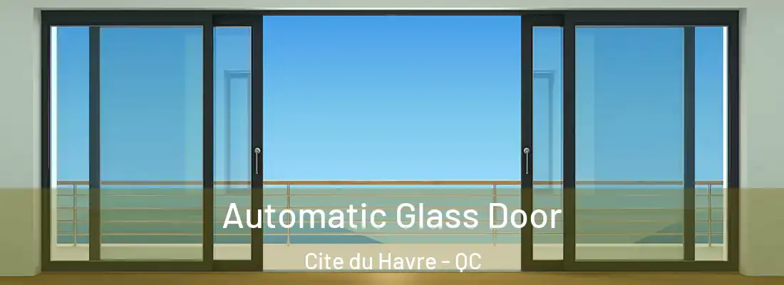  Automatic Glass Door Cite du Havre - QC