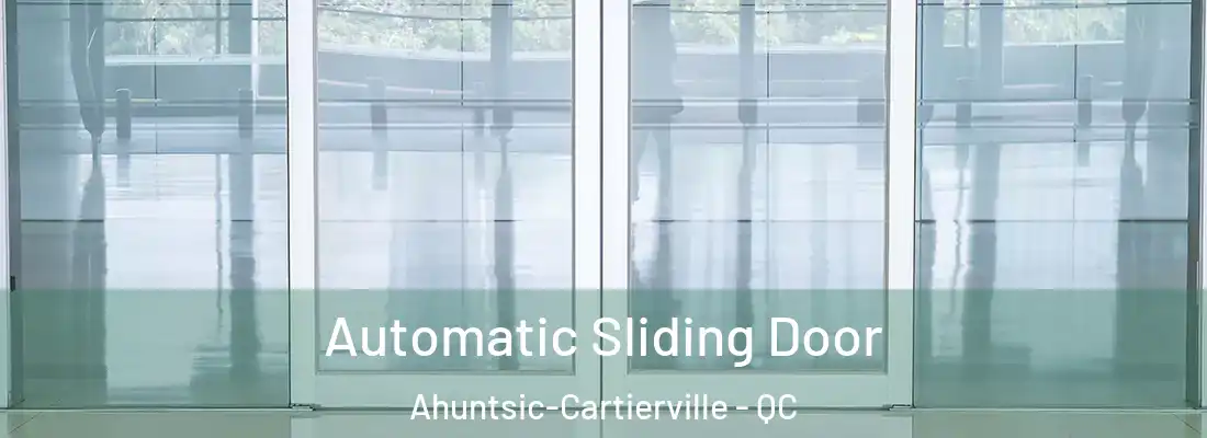  Automatic Sliding Door Ahuntsic-Cartierville - QC