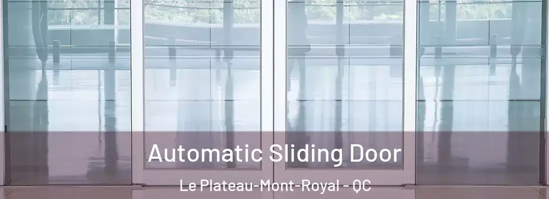  Automatic Sliding Door Le Plateau-Mont-Royal - QC