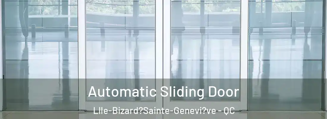  Automatic Sliding Door LIle-Bizard?Sainte-Genevi?ve - QC