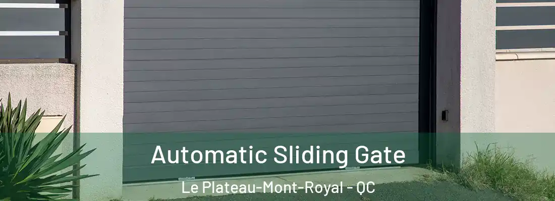  Automatic Sliding Gate Le Plateau-Mont-Royal - QC