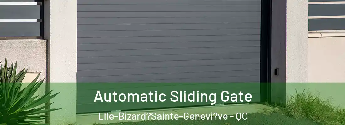  Automatic Sliding Gate LIle-Bizard?Sainte-Genevi?ve - QC