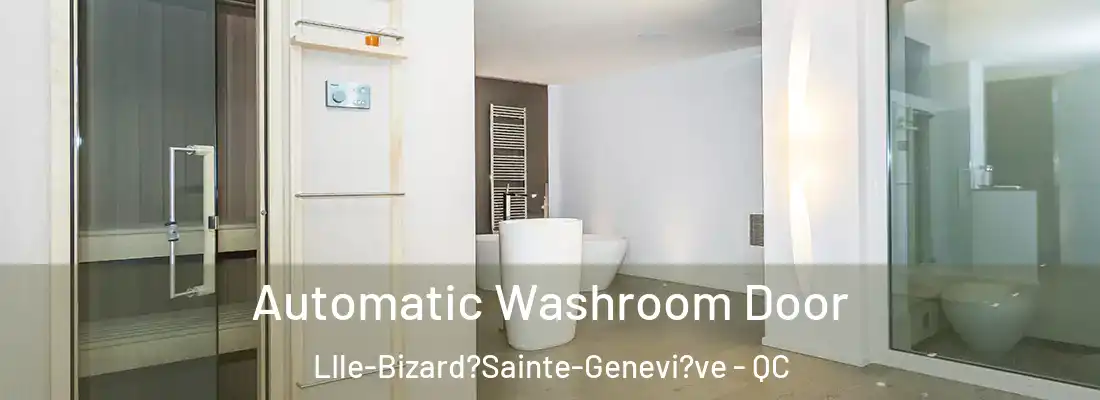  Automatic Washroom Door LIle-Bizard?Sainte-Genevi?ve - QC