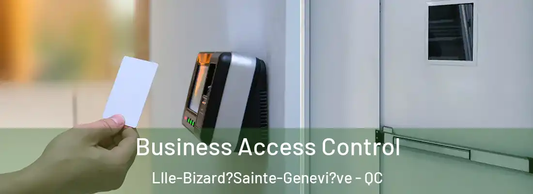  Business Access Control LIle-Bizard?Sainte-Genevi?ve - QC