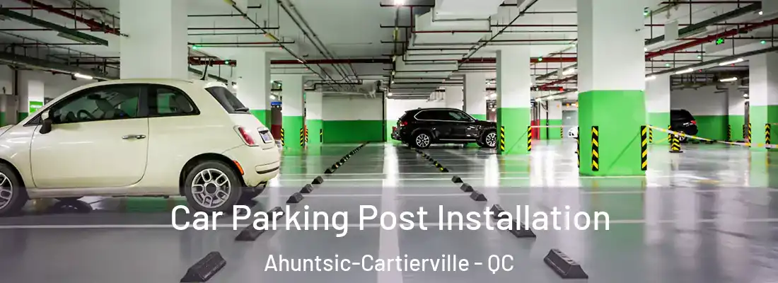  Car Parking Post Installation Ahuntsic-Cartierville - QC