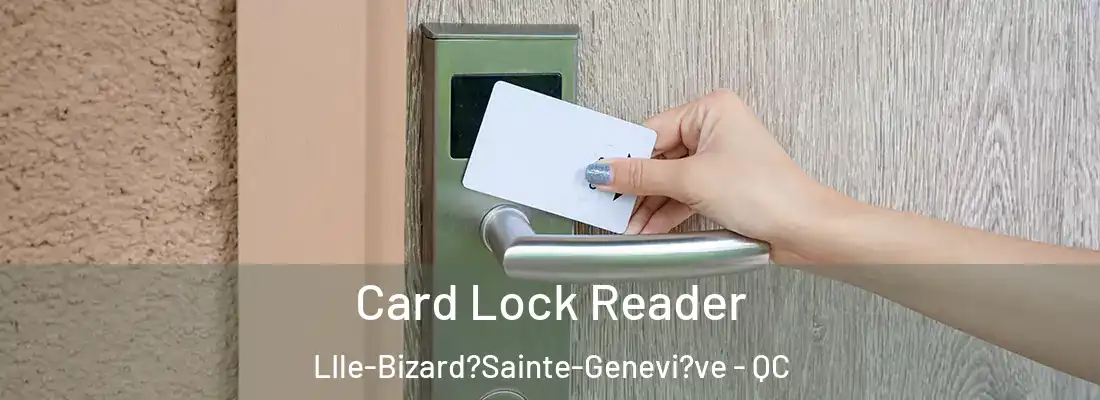  Card Lock Reader LIle-Bizard?Sainte-Genevi?ve - QC