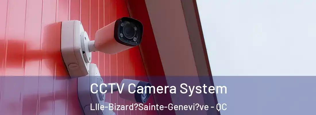  CCTV Camera System LIle-Bizard?Sainte-Genevi?ve - QC