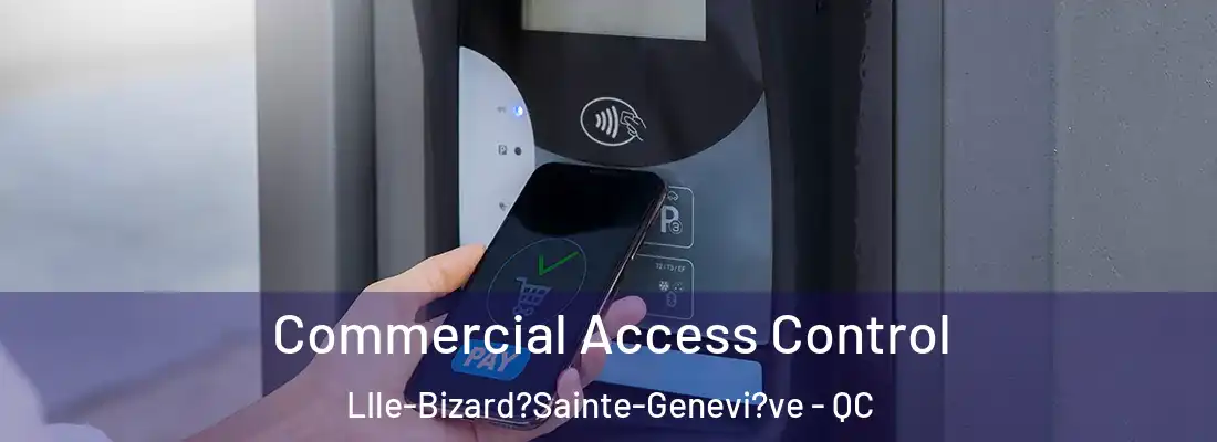  Commercial Access Control LIle-Bizard?Sainte-Genevi?ve - QC