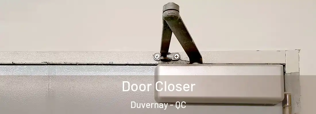  Door Closer Duvernay - QC