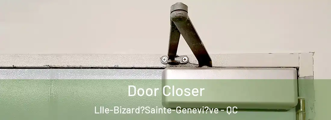  Door Closer LIle-Bizard?Sainte-Genevi?ve - QC