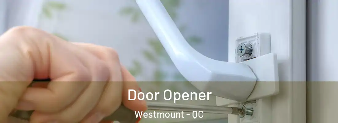  Door Opener Westmount - QC