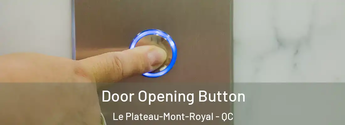  Door Opening Button Le Plateau-Mont-Royal - QC