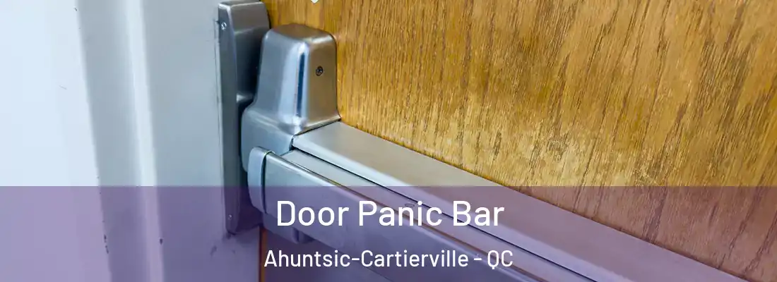  Door Panic Bar Ahuntsic-Cartierville - QC