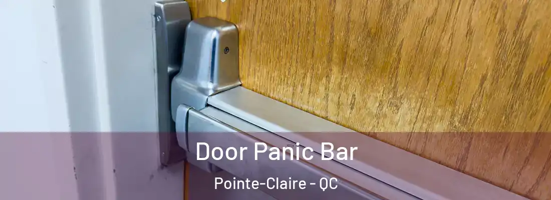 Door Panic Bar Pointe-Claire - QC