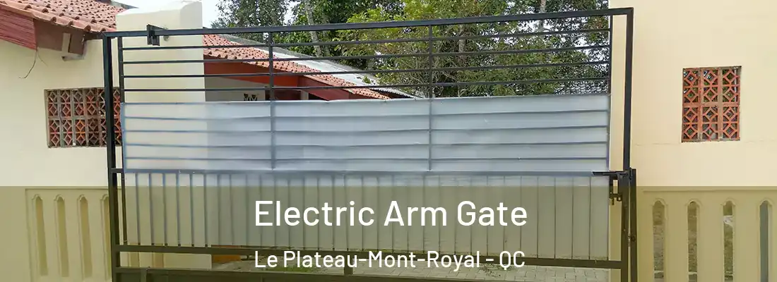  Electric Arm Gate Le Plateau-Mont-Royal - QC