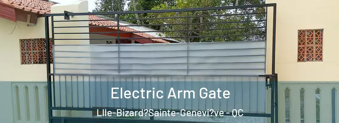  Electric Arm Gate LIle-Bizard?Sainte-Genevi?ve - QC