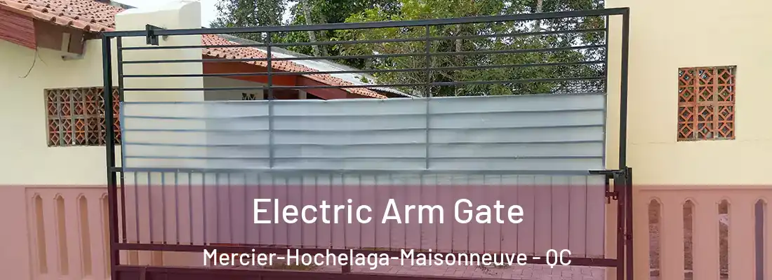  Electric Arm Gate Mercier-Hochelaga-Maisonneuve - QC