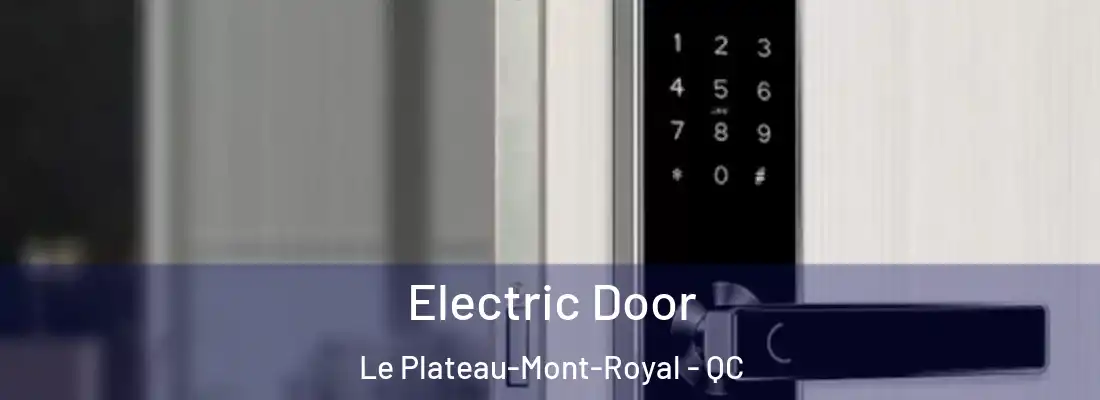  Electric Door Le Plateau-Mont-Royal - QC