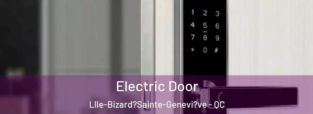  Electric Door LIle-Bizard?Sainte-Genevi?ve - QC