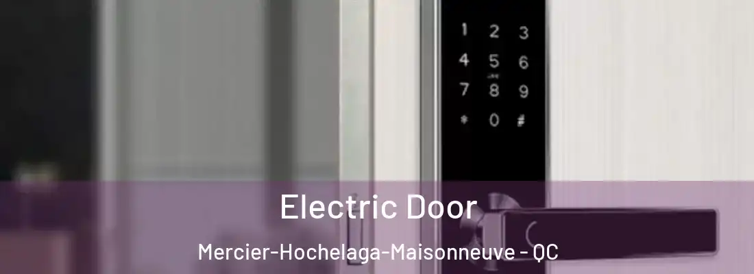  Electric Door Mercier-Hochelaga-Maisonneuve - QC