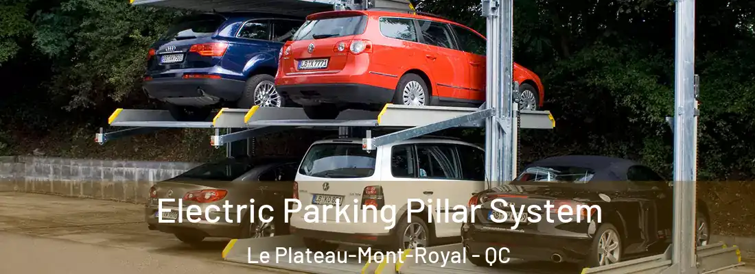  Electric Parking Pillar System Le Plateau-Mont-Royal - QC