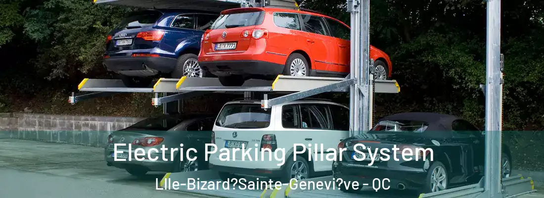  Electric Parking Pillar System LIle-Bizard?Sainte-Genevi?ve - QC