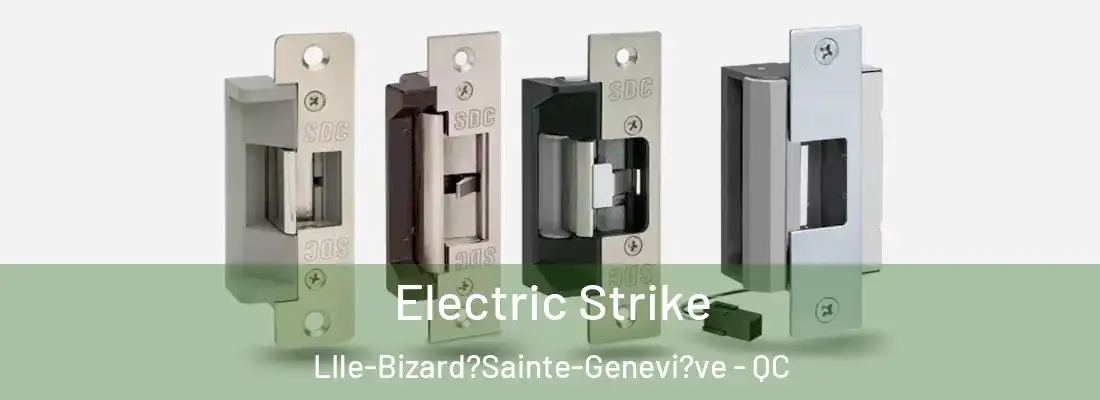  Electric Strike LIle-Bizard?Sainte-Genevi?ve - QC