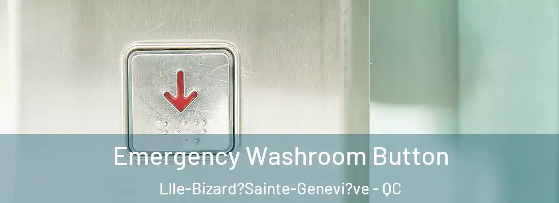  Emergency Washroom Button LIle-Bizard?Sainte-Genevi?ve - QC