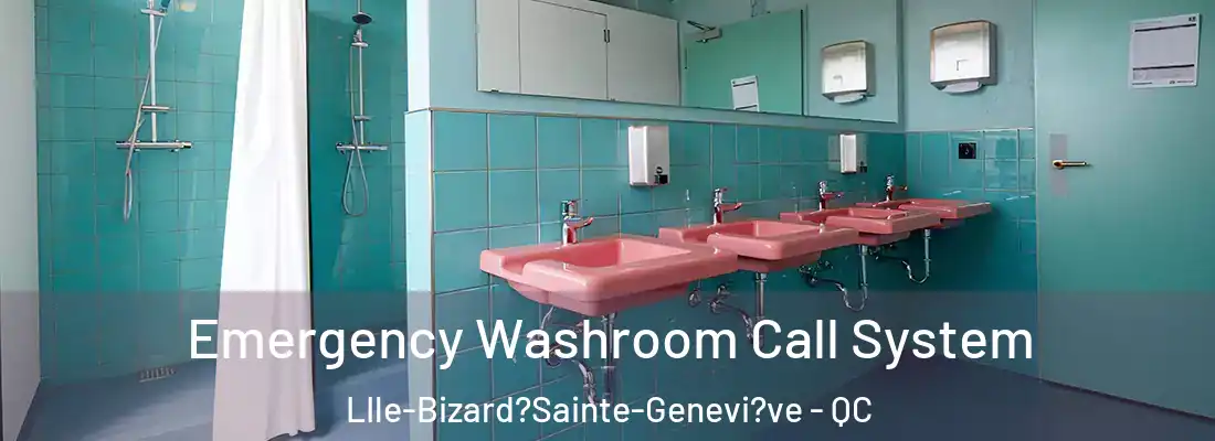  Emergency Washroom Call System LIle-Bizard?Sainte-Genevi?ve - QC