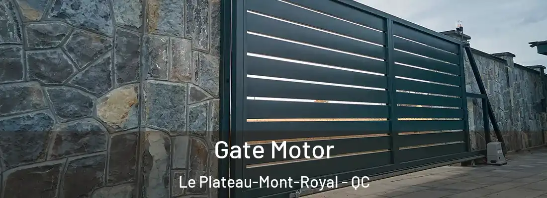  Gate Motor Le Plateau-Mont-Royal - QC