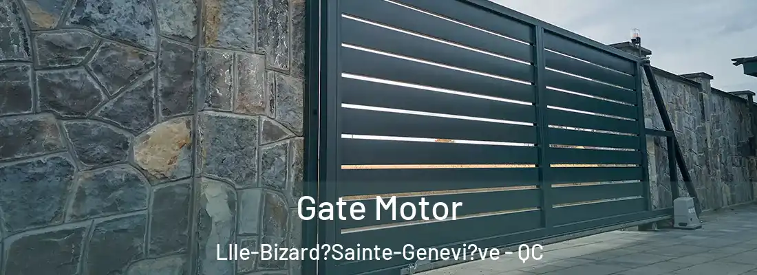  Gate Motor LIle-Bizard?Sainte-Genevi?ve - QC