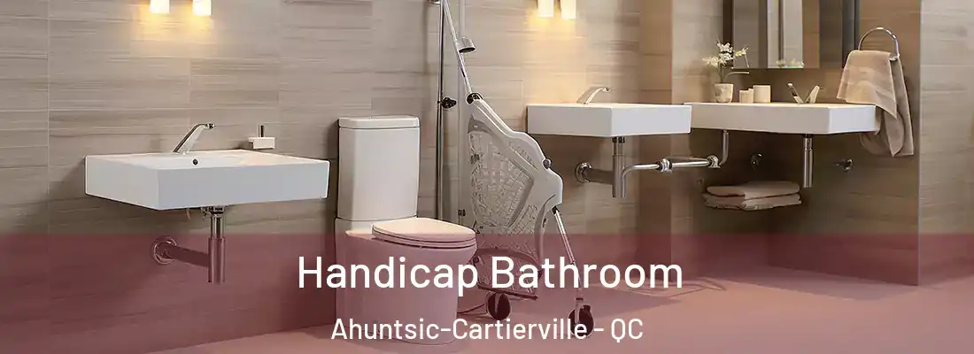  Handicap Bathroom Ahuntsic-Cartierville - QC