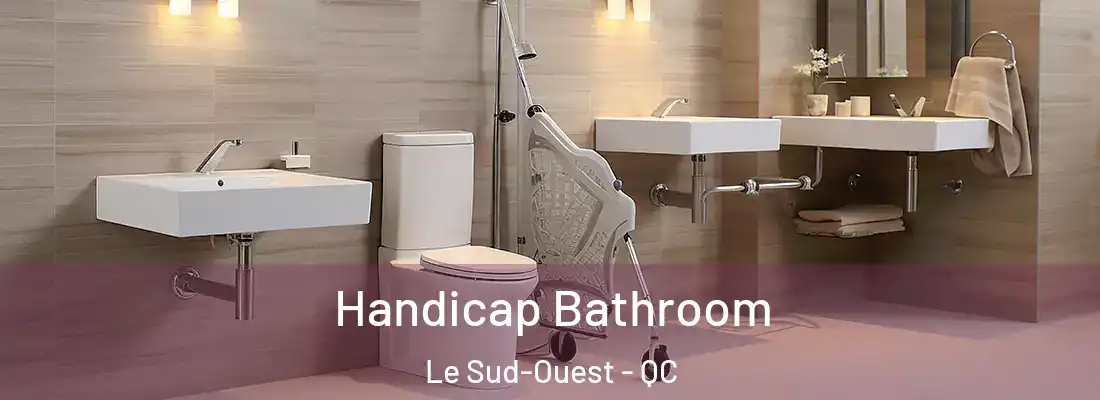  Handicap Bathroom Le Sud-Ouest - QC