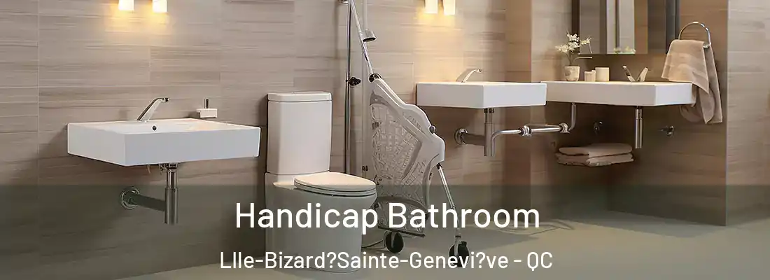  Handicap Bathroom LIle-Bizard?Sainte-Genevi?ve - QC