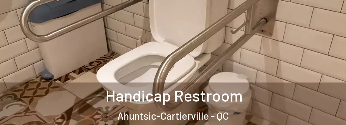  Handicap Restroom Ahuntsic-Cartierville - QC