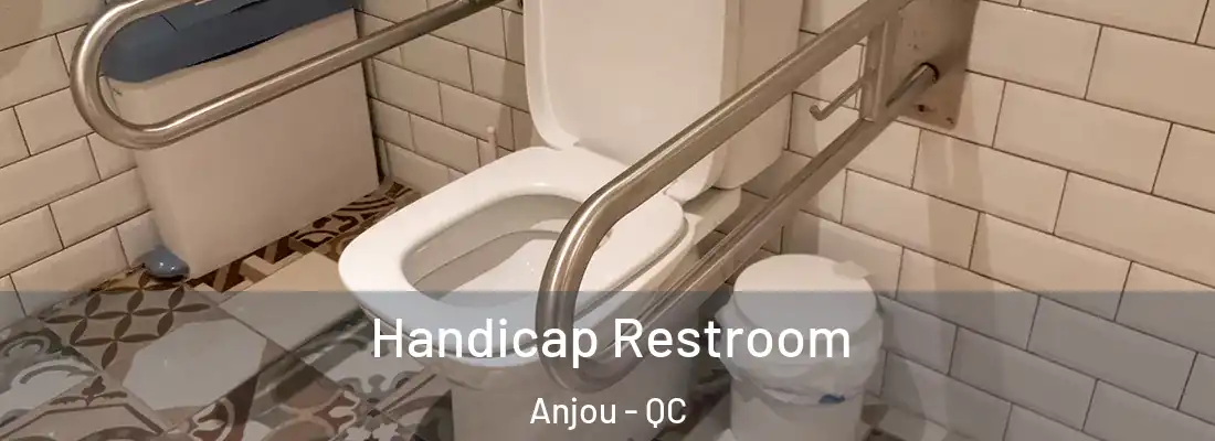  Handicap Restroom Anjou - QC