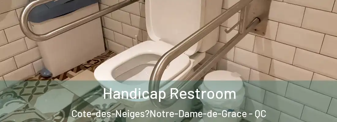  Handicap Restroom Cote-des-Neiges?Notre-Dame-de-Grace - QC