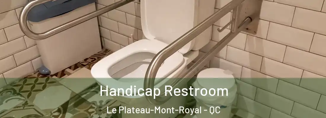  Handicap Restroom Le Plateau-Mont-Royal - QC