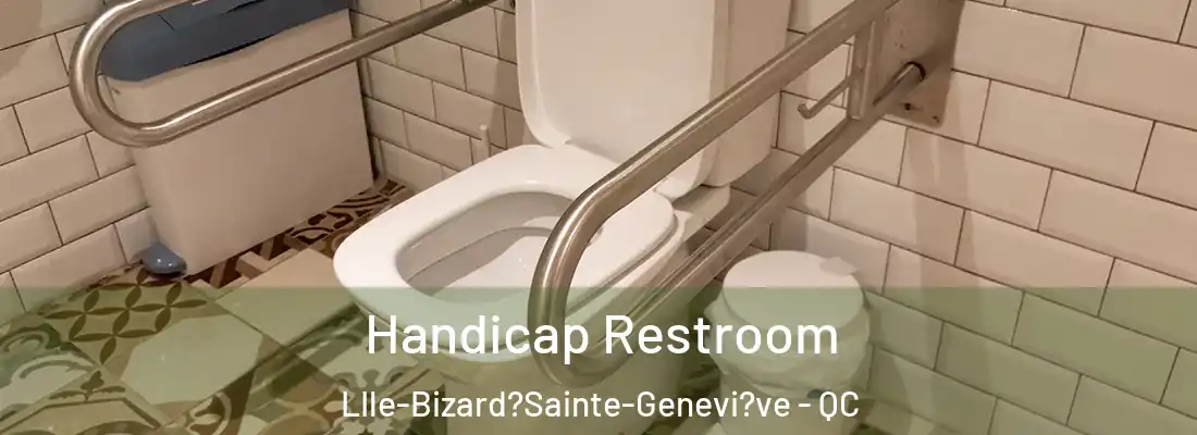  Handicap Restroom LIle-Bizard?Sainte-Genevi?ve - QC