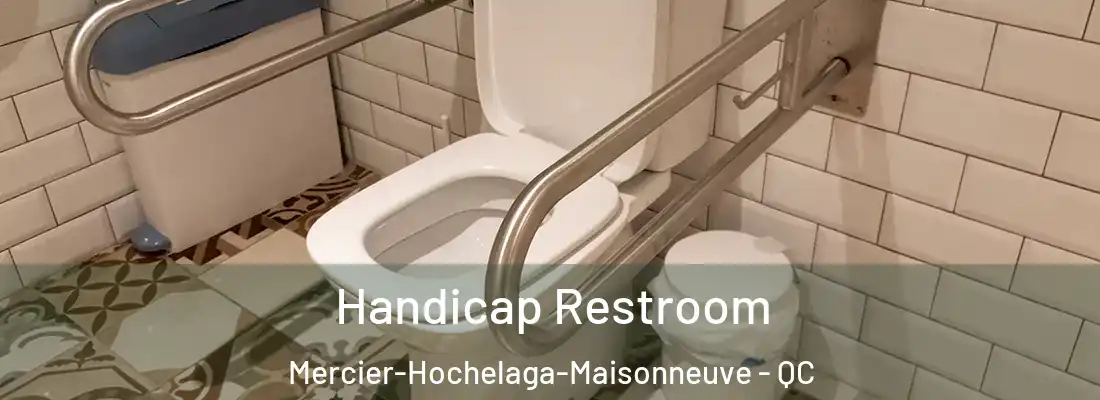  Handicap Restroom Mercier-Hochelaga-Maisonneuve - QC