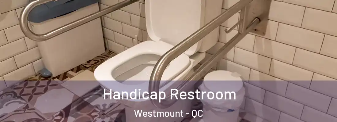  Handicap Restroom Westmount - QC