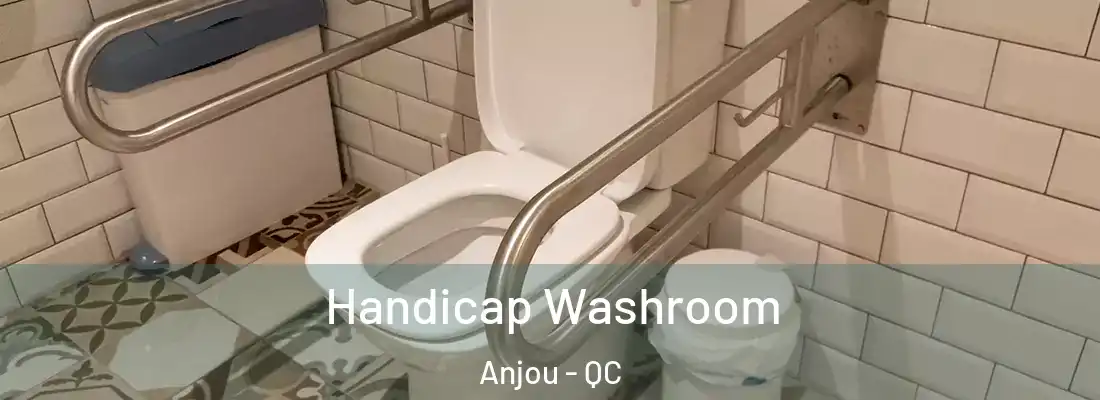  Handicap Washroom Anjou - QC