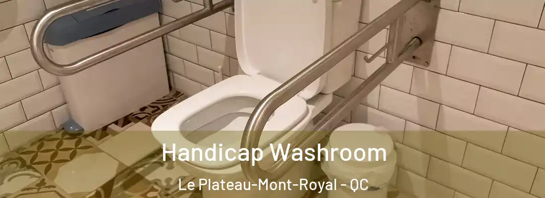  Handicap Washroom Le Plateau-Mont-Royal - QC